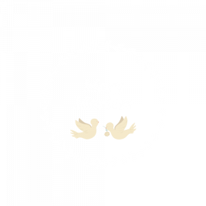 mary-mariees-logo