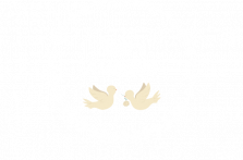 Mary mariees